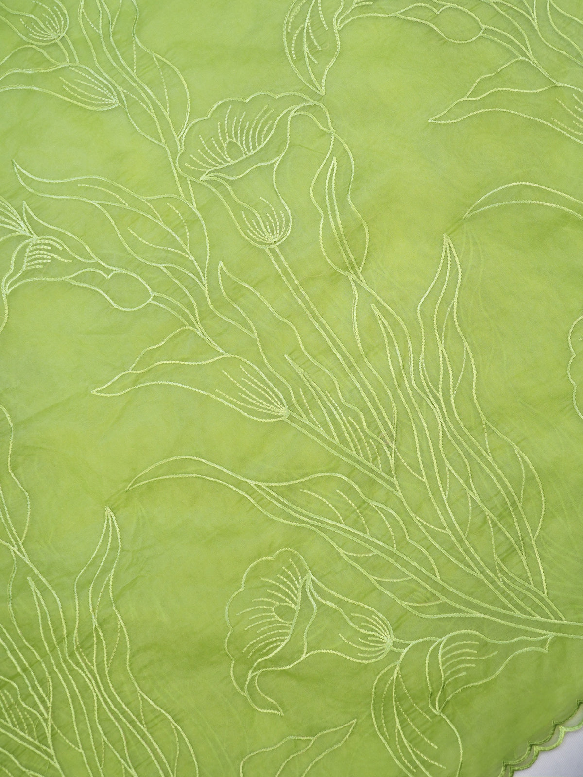 Pistachio Green Soft Organza Floral Embroidered Saree
