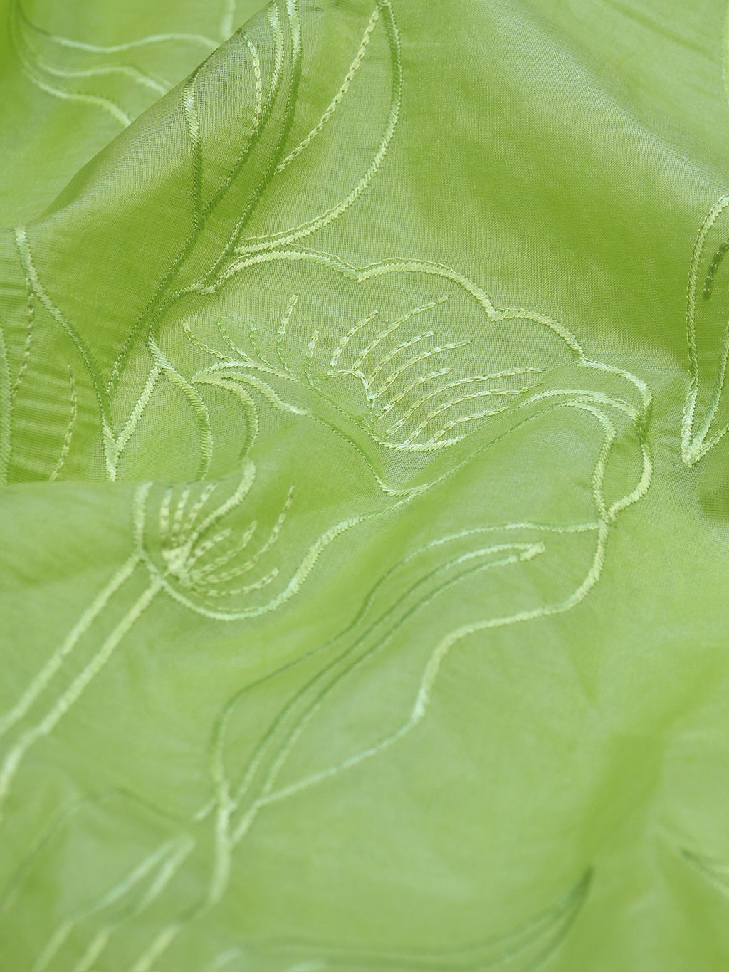 Pistachio Green Soft Organza Floral Embroidered Saree