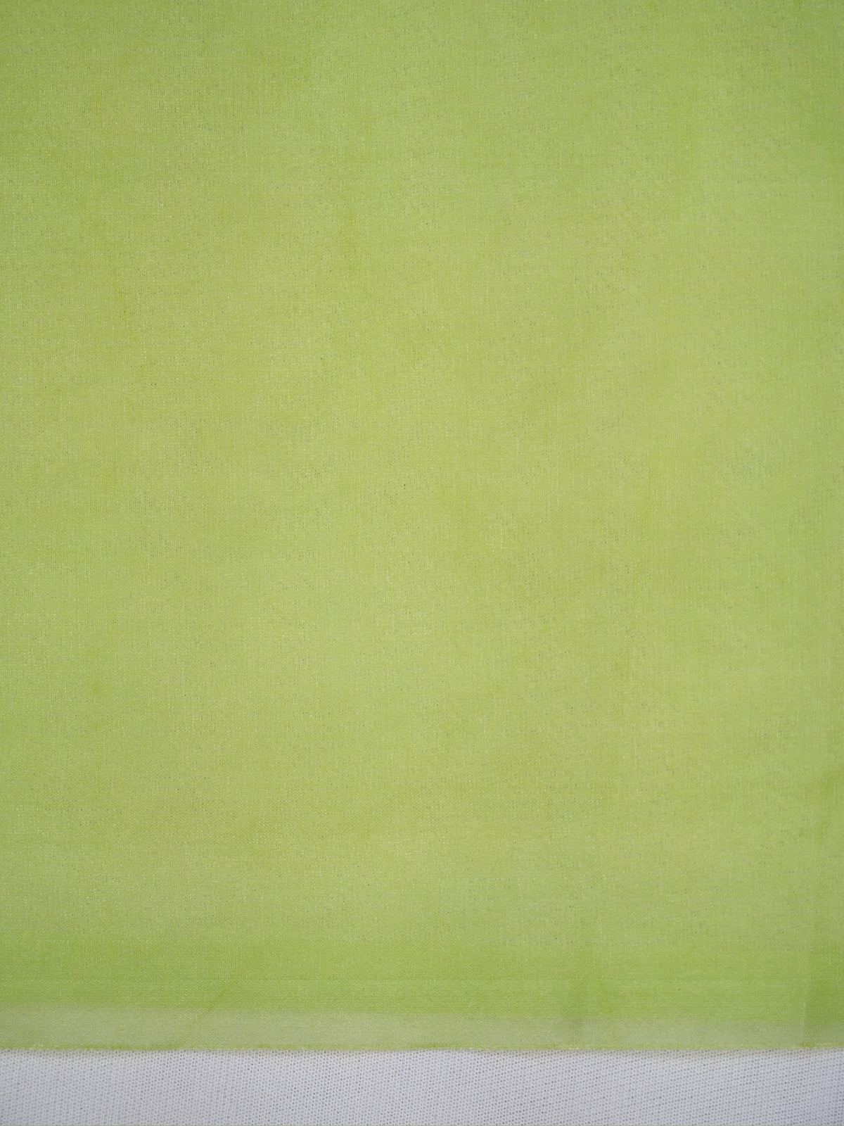 Pistachio Green Soft Organza Floral Embroidered Saree