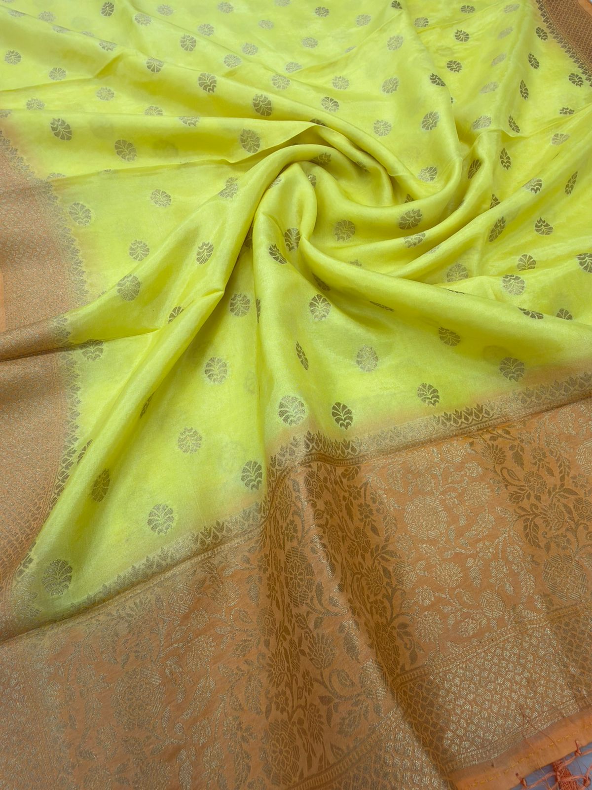 Banarasi Khaddi Georgette Suit (3 piece set)