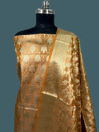 Banarasi Tissue Silk Suit (3 piece set)
